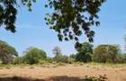 75 ac Land at Vipingo - 8