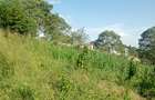Land in Tigoni - 7
