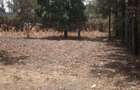 0.25 ac Commercial Land at Githurai - 15