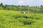 67 ac Land at Ndumberi-Ngorongo Road - 6