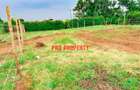 0.05 ha Residential Land at Thigio - 4