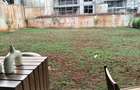 4 Bed Townhouse with En Suite in Loresho - 8