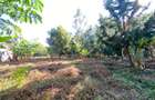 0.587 ac Land at Shanzu Road - 1