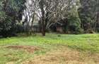 200 ac Land at Kilimani - 6