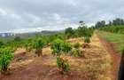 35 ac Land in Tatu City - 4
