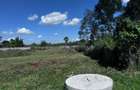 0.5 ac Land in Runda - 5