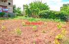 0.05 ha Commercial Land at Kinoo - 10