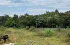 0.5 ac Land at Kitisuru - 2