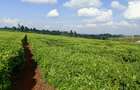 67 ac Land at Ndumberi-Ngorongo Road - 8