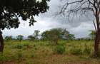 100 ac Land in Mombasa Road - 7