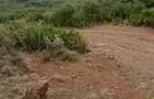 5 ac Land at Meru Isiolo High Way - 3