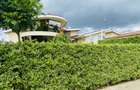 3 Bed House with En Suite in Naivasha - 18