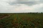 Land at Nanyuki-Rumuruti Rd - 6