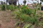 480 m² Residential Land at Diani - 2