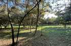 1.66 ac Land in Naivasha - 3