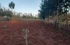 0.25 ac Residential Land at Kibiko - Ngong - 5