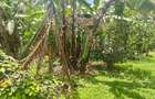 0.5 ac Land in Garden Estate - 8