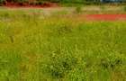 Land at Riverline Ridges - 5
