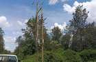 Residential Land at Ruiru-Githunguri - 2
