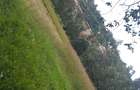 Residential Land at Kerarapon Road - 5