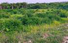 Land in Vipingo - 16