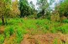 500 m² Residential Land at Charismatic Area - 5