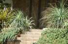 3 Bed House with Garden in Muthaiga - 2