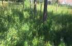 0.113 ac Residential Land in Ongata Rongai - 8