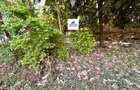 1.1 ac Land in Westlands Area - 6