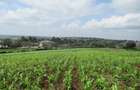 Land at Ngong Town - 12