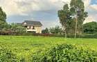 0.5 ac Residential Land in Tigoni - 9