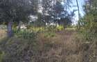 1,450 ac Land at Mabokoni - 6