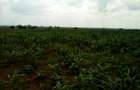 Land at Nanyuki-Rumuruti Rd - 2