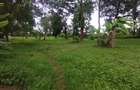 0.8 ac Land at Mumbi Road - 2