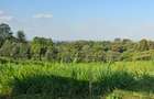 0.134 ac Residential Land at Migaa Golf Estates - 4