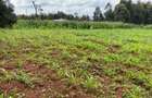 0.05 ha Residential Land in Kikuyu Town - 1