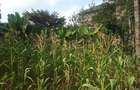 0.113 ac Commercial Land in Ongata Rongai - 9