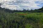 6,000 m² Land in Limuru - 13