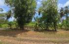 6 ac Land at Bomani - 7