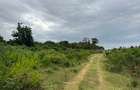 10 ac Land in Vipingo - 4