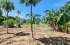 3 ac Land at Mtwapa - 11