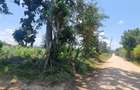 8 ac Land at Mtwapa - 17