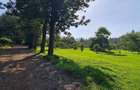 Land in Ngong - 2