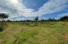 1,012 m² Land in Diani - 1