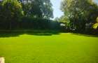 5 Bed Townhouse with Swimming Pool at Close To Germany School And Roslyn Academy - 13