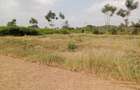 0.25 ac Residential Land in Thika - 2