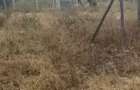 0.25 ac Land in Kisaju - 2