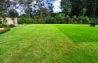 5 Bed House with En Suite at Lower Kabete - 3