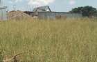 0.25 ac Residential Land in Ngong - 2