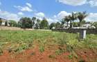 Residential Land at Runda Road - 6